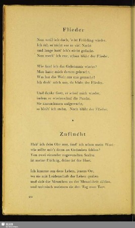 Flieder