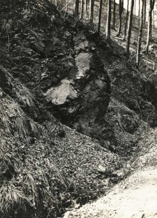 Elbsandsteingebirge. Riesengrund, alte Wartenbergstraße. Riff aus gequetschtem Granit