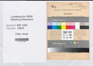 Entnazifizierung Horst Felix, geb. 26.11.1915 (Angest.)