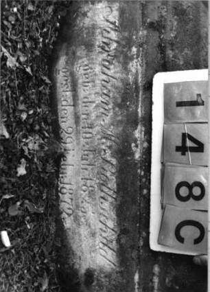 Grabstein 148 (Index: 99795654) Maße HxBxT: 167x63x19 cm Symbolik: Blüte: Grabstein 148C