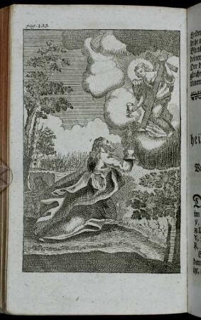 pag. 233.