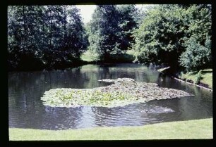 Tiergarten 3.6.63.