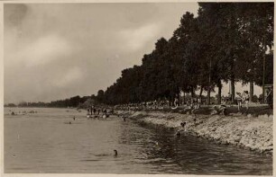 Postkartenalbum mit Motiven von Karlsruhe. "Karlsruhe. Strandbad Rappenwört. 'Rheinstrand'". BAdebetrieb im Rheinstrandbad Rappenwört