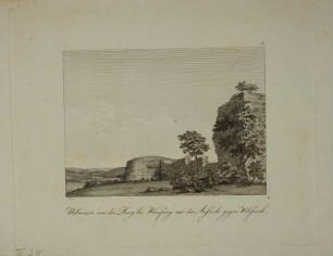 Burgruine bei Weinsberg