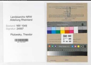 Entnazifizierung Theodor Plutowsky , geb. 07.12.1890 (Kraftfahrer)