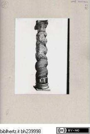 Colonna