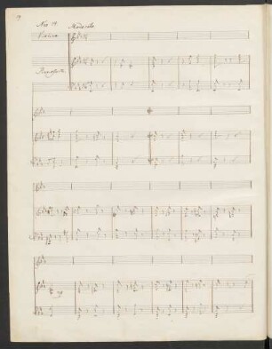Nro. 14