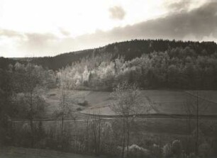 Landeskunde. Sachsen. Osterzgebirge. Ölsengrund bei Bad Gottleuba