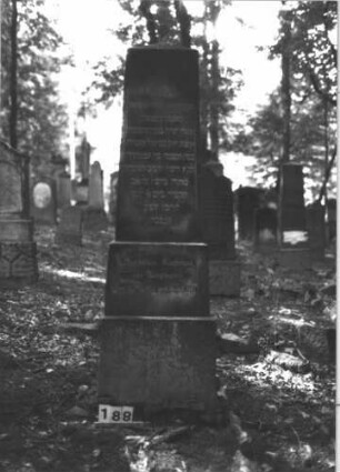 Grabstein 188 (Index: 99899063) Material: Granit Zustand: gut erhalten Maße HxBxT: 186x50x23 cm Beschreibung: Obelisk: Grabstein 188