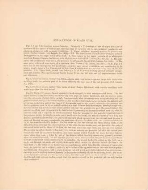 Explanation of plate XXVI.