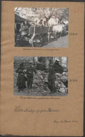 Serbisches Fuhrwerk im Moravagebiete