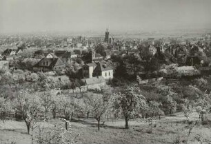 Radebeul, Obstplantagen
