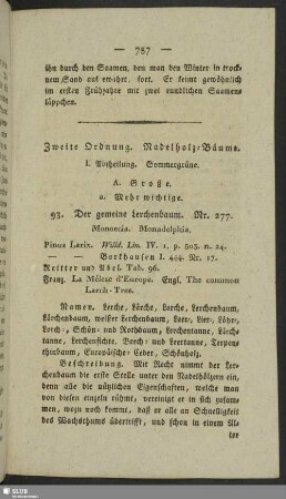 Zweite Ordnung. Nadelholz-Bäume