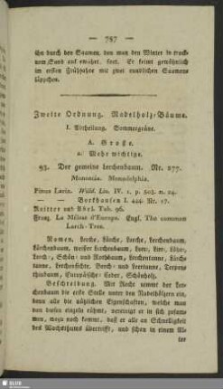 Zweite Ordnung. Nadelholz-Bäume