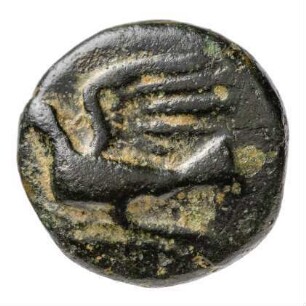 Münze, 323 - 251 v. Chr.