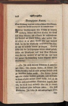 Neunzehntes Kapitel. Thut Meldung von dem erschrecklichen Abentheuer darob der Archipanpan so betrübt war