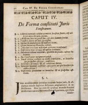 90-103, Caput IV. De Forma constituti Juris