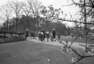 Baumblüte im Stadtgarten