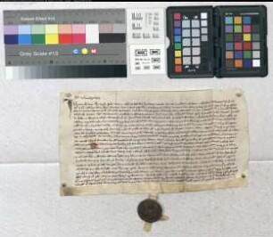 Vor dem Paderborner Domkapitel und anderen Zeugen bestimmt Bischof Bernhard von Paderborn seine Testaments-Exekutoren.