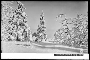 Zinnwald-Georgenfeld, Winter im Erzgebirge, am Lugsteinhof