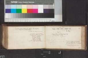Einträge Bl. 41 - 50