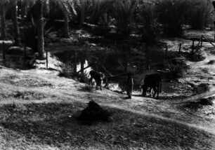 Wasserloch (Deutsche Indien-Expedition 1926/1929 - Rückreise: Irak-Syrien-Libanon-Türkei)