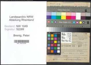 Entnazifizierung Peter Brenig , geb. 29.09.1914 (Lagerist)