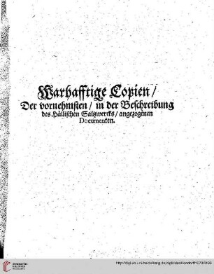 Privilegium Ruperti Archi-Episcopi