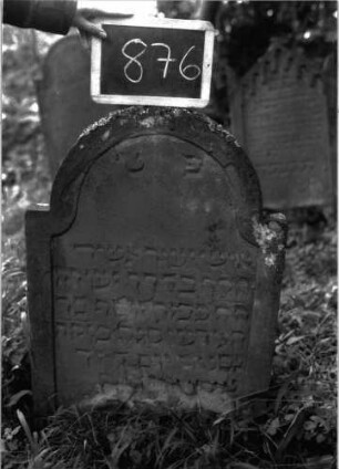 Grabstein 876 (Index: 100102991) Material: Sandstein Zustand: unten verwittert, stellenweise Abplatzungen Maße HxBxT: 81x59x8 cm Beschreibung: Stele, eingezogener Rundbogenabschluss, Schriftfeld eingetieft mit Konvexbogenabschluss: Grabstein 876