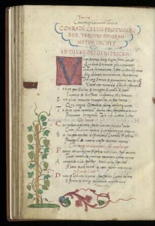 Liber tercius