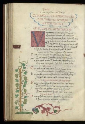 Liber tercius