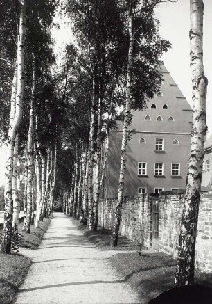 Auerbach, Amtsgericht : Auerbach. Blick durch eine Birkenallee zum Amtsgericht