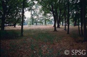 Potsdam, Park Sacrow, Östlich des Hauptwegs.