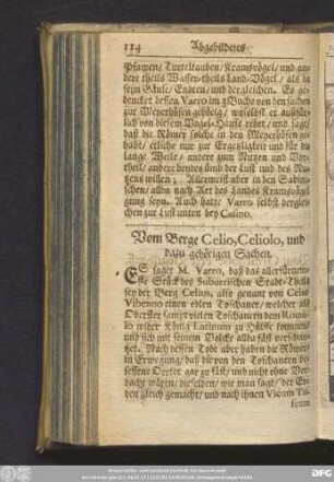 Vom Berge Celio, Celiolo, und dazu gehörigen Sachen.