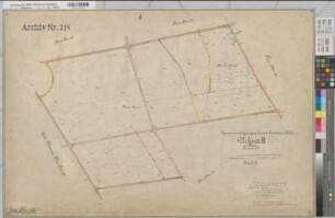 Epe, Gronau (Gronau), Alstätte (Ahaus), Wessum (Heek), Zusammenlegung des Amtsvenns, Bl.12 Urkarte II Epe Flur 28