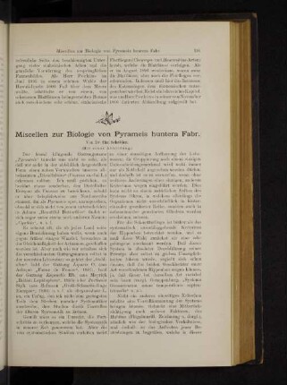 Miscellen zur Biologie von Pyrameis huntera Fabr.