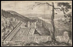 Hortus Palatinus und Schloss Heidelberg