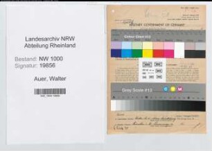 Entnazifizierung Walter Auer, geb. 14.03.1905 (Angestellter)