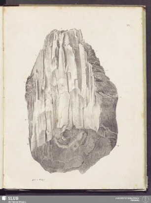55.