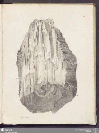55.
