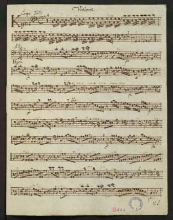 Violone
