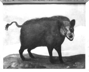 Keiler : Keiler. Öl? auf Holz (wohl 1630/1684; C. Schiebling und C. Wiebel zugeschrieben). Radebeul, Hoflößnitz, Berg- und Lusthaus, Berg- und Lusthaus, Wohnraum des Kurfürsten