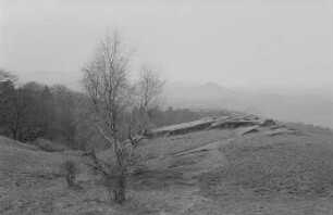 Blick von der Burgruine Regenstein ins Tal