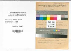 Entnazifizierung Leo Schulz , geb. 22.01.1906 (Zollbeamter)