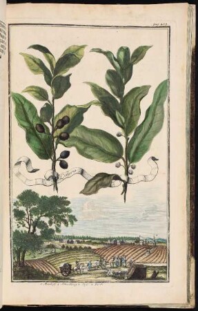 p. 238 1 Munghoff. 2 Schnidling. 3 Doß. 4 Fürth. - Nürnberg-Muggenhof; Nürnberg-Schniegling; Nürnberg-Doos; Fürth (Bayern)