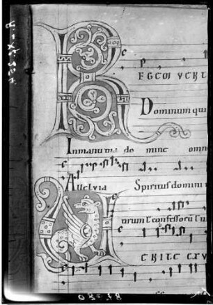 Reichenau Liederhandschrift