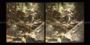 Wasserfall der Holtemme, Steinerne Renne