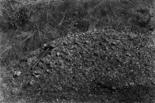 Gneisgestein : Grobporphyrartiger Gneis.