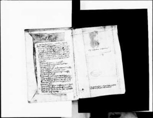 Besitzeintrag: Kloster St. Katharina Nürnberg: „Daz puch gehort in das closter zu sant Katherein prediger orden in Nur.“