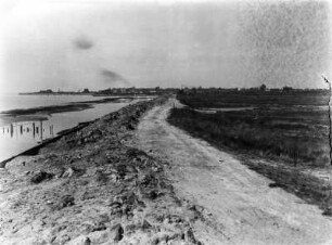Neu gewonnenes Land : Blick auf einen Deich mit dahinter liegendem, neu gewonnen Land in Bay Farm Island